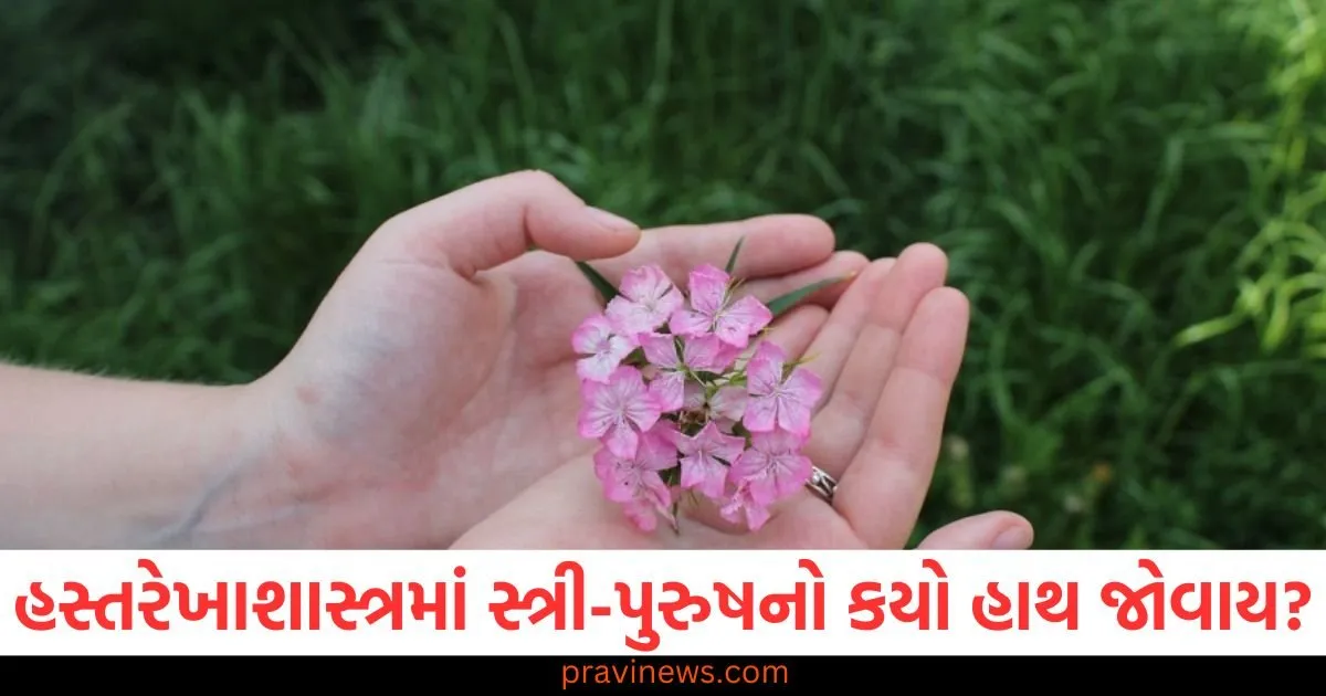 હસ્તરેખાશાસ્ત્રમાં સ્ત્રી અને પુરુષનો કયો હાથ જોવામાં આવે છે? તેનું મહત્વ જાણો https://www.pravinews.com/education/prayagraj-mahakumbh-uttar-pradesh-board-exams-icse-and-cisce-exam-latest-advisory-106408