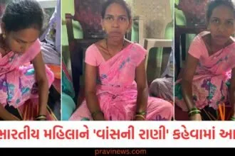 નમિતા નામદેવ વાંસની રાણી કોણ છે?, નમિતા નામદેવની પ્રેરણાદાયક કથા, વાંસની રાણી નમિતા નામદેવનું યોગદાન, ભારતની 'બાંસ વુમન' ની સફળતા કથા, નમિતા નામદેવ અને બાંસ ઉદ્યોગ,