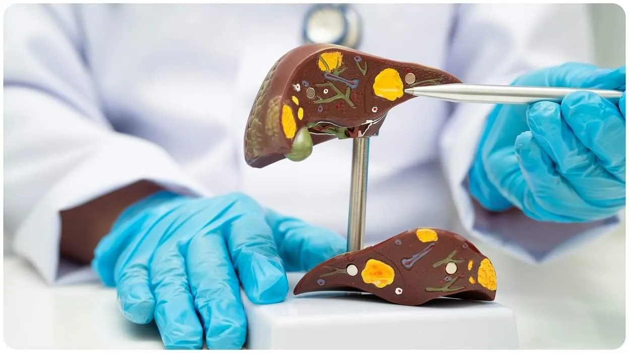 દર વર્ષે સૌથી વધુ મૃત્યુનું કારણ બની રહ્યા છે આ ચાર પ્રકારના કેન્સર, તમારે પણ સાવધાન રહેવું જોઈએ https://www.pravinews.com/lifestyle/health-fitness/world-cancer-day-2025-deadliest-cancers-worldwide-sabse-khatarnak-cancer-kaun-sa-hai-99808