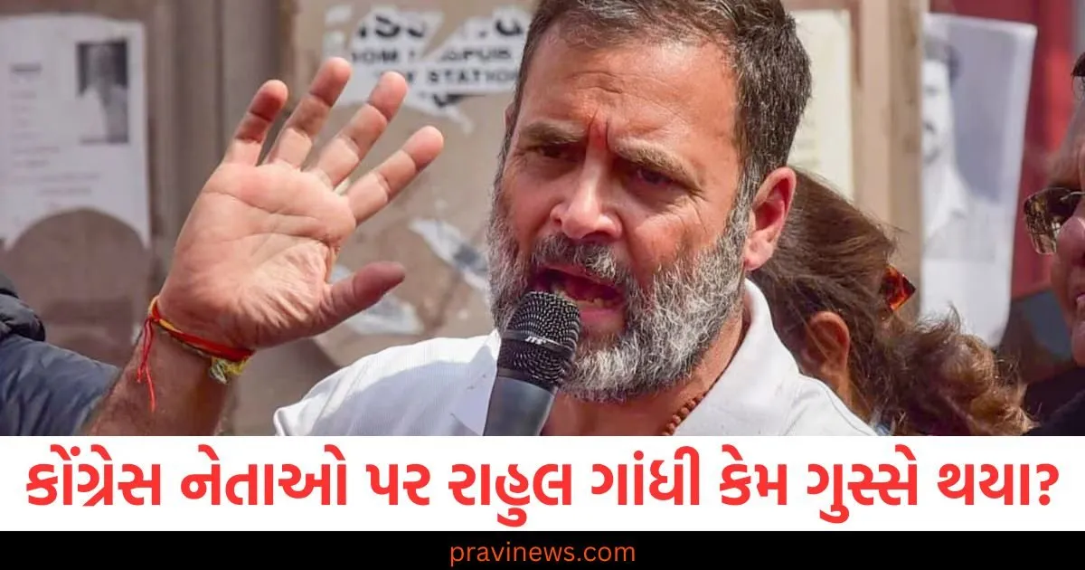 '10, 15, 20, 30 લોકોને બરતરફ કરવા જોઈએ...', ગુજરાતમાં કોંગ્રેસના નેતાઓ પર રાહુલ ગાંધી કેમ ગુસ્સે થયા? https://www.pravinews.com/world-news-in-gujarati/ed-takes-big-action-in-falcon-scam-amardeep-jet-bought-for-14-crore-seized-in-hyderabad-113007
