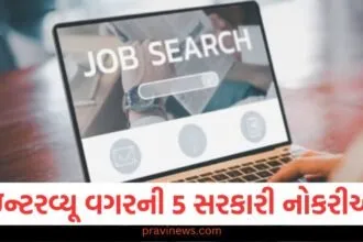 ઇન્ટરવ્યૂ વગરની 5 સરકારી નોકરીઓ, ભરતી ફક્ત મેરિટના આધારે થાય છે https://www.pravinews.com/education/ratan-tata-education-qualification-know-from-where-he-got-educated-ratan-tata-death-45463