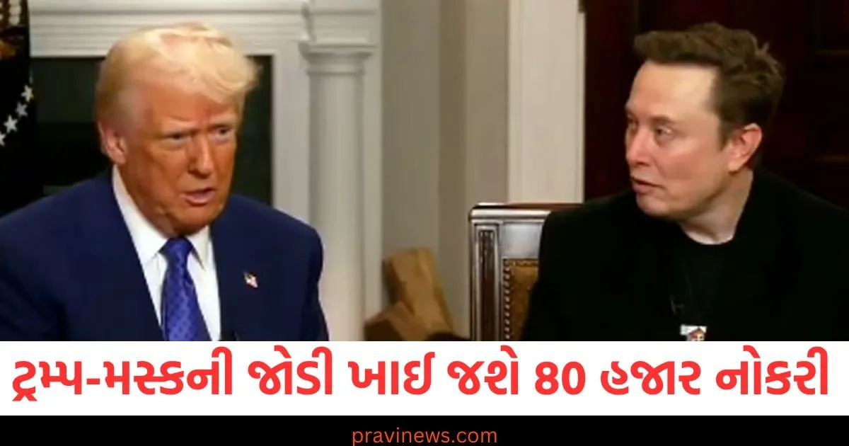 ટ્રમ્પ-મસ્કની જોડી ખાઈ જશે અમેરિકામાં 80 હજાર લોકોને નોકરી, બનાવ્યો ખતરનાક પ્લાન https://www.pravinews.com/gujarat-news/vadodara-news/vadodara-professor-made-1000-liters-of-fuel-from-3-tons-of-plastic-waste-president-droupadi-murmu-honored-him-112447
