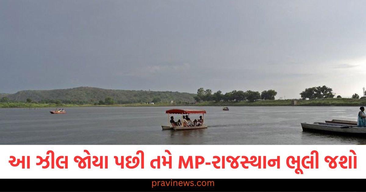 આ ઝીલ જોયા પછી તમે MP-રાજસ્થાન ભૂલી જશો, જાણો ક્યાં સ્થિત છે https://www.pravinews.com/travel-news/tips-for-first-time-travelling-in-flight-75363