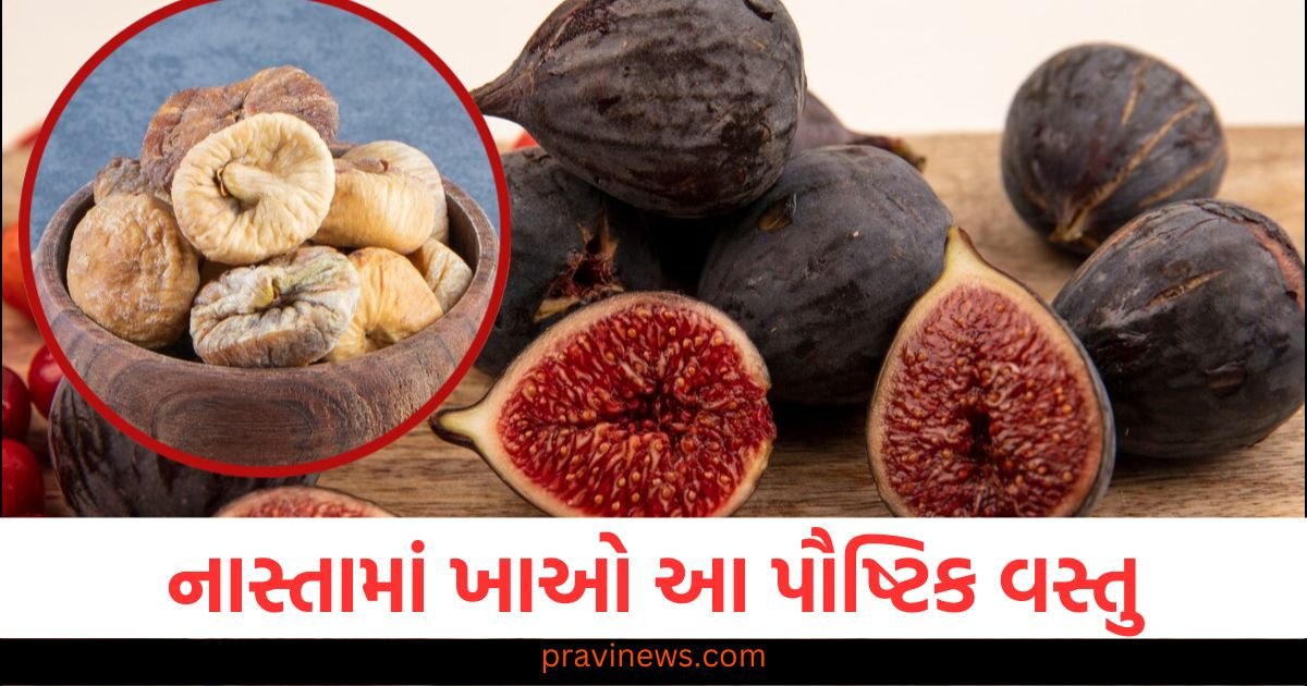 નાસ્તામાં ખાઓ આ પૌષ્ટિક વસ્તુ, વિટામિનની ઉણપ દૂર થશે અને પાચન પણ સારું રહેશે https://www.pravinews.com/international-news/more-than-400-hollywood-celebrities-write-open-letter-against-google-and-open-ai-to-us-government-116350