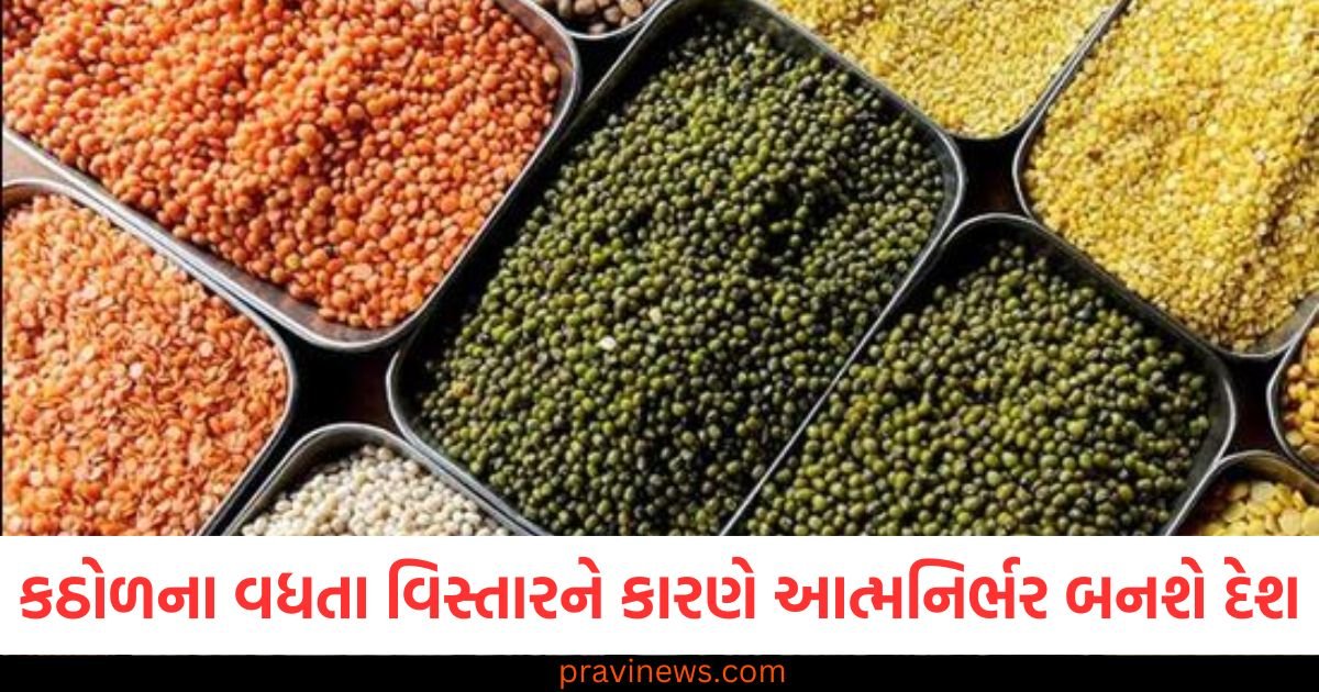 કઠોળના વધતા વિસ્તારને કારણે આત્મનિર્ભરતાની આશા જાગી, પાંચ વર્ષમાં આ છે સરકારનું લક્ષ્ય https://www.pravinews.com/business/sebi-going-to-use-digilocker-to-ease-the-transfer-of-unclaimed-properties-68063