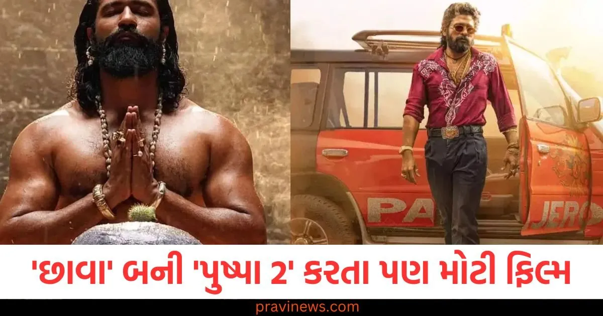 'છાવા' બની 'પુષ્પા 2' કરતા પણ મોટી ફિલ્મ, એક મહિનામાં ખર્ચવામાં આવ્યું 435% બજેટ https://www.pravinews.com/entertainment/ashwini-vaishnav-reacts-allu-arjun-arrest-raises-questions-on-telangana-government-69850