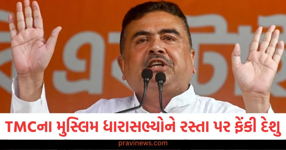 'TMCના મુસ્લિમ ધારાસભ્યોને રસ્તા પર ફેંકી દેવામાં આવશે...', વિપક્ષના નેતા શુભેન્દુ અધિકારીએ નિવેદન આપ્યું https://www.pravinews.com/business/national-securities-depository-ltd-nsdl-3-000-crore-ipo-may-be-launched-this-month-114120