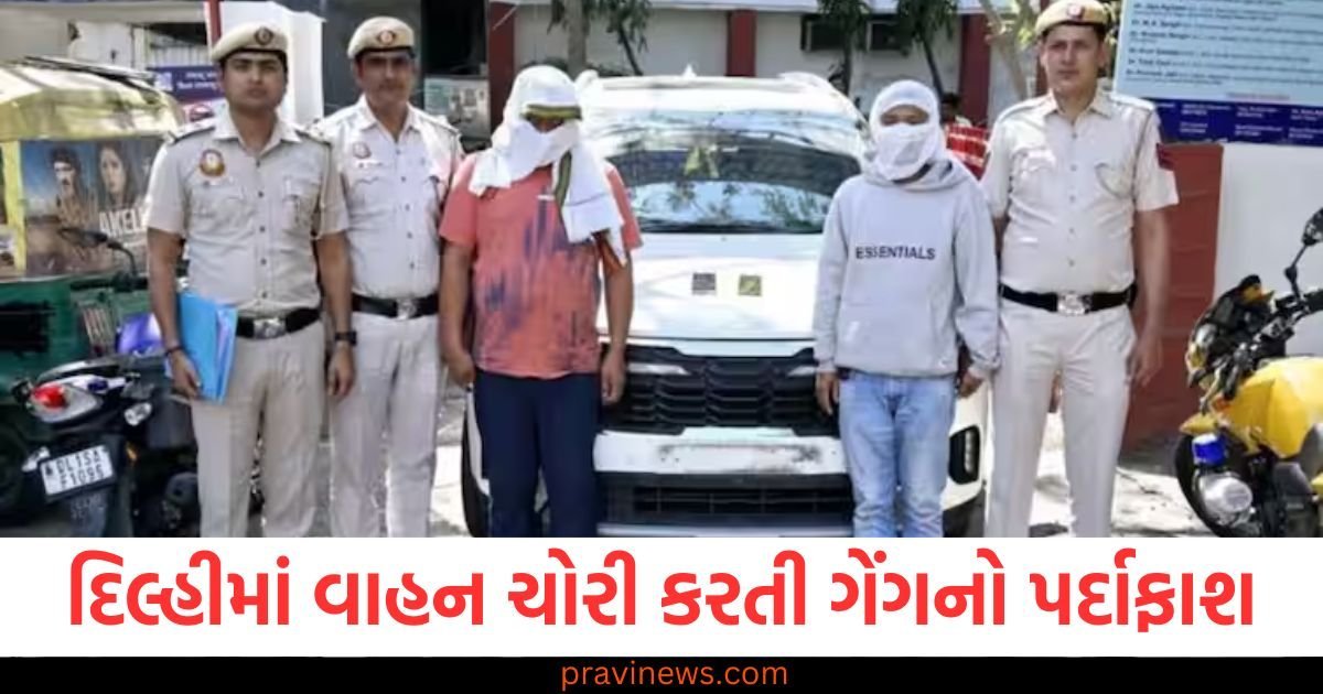 દિલ્હીમાં વાહન ચોરી કરતી ગેંગનો પર્દાફાશ, બેની ધરપકડ, મોબાઈલમાં ચેટ જોઈ પોલીસ પણ ચોંકી ગઈ https://www.pravinews.com/food/recipe-suji-jalebi-recipe-know-how-to-make-crispy-and-delicious-suji-jalebi-at-home-115931