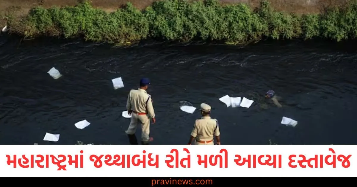 મહારાષ્ટ્રના આ વિસ્તારમાં જથ્થાબંધ રીતે મળી આવ્યા આધાર કાર્ડ અને ક્રેડિટ કાર્ડ, નાળામાં દસ્તાવેજો જોઈને ગભરાટ ફેલાયો https://www.pravinews.com/food/aalo-cheese-tikki-recipe-for-kids-evening-snack-recipes-potato-cheese-tikki-111562