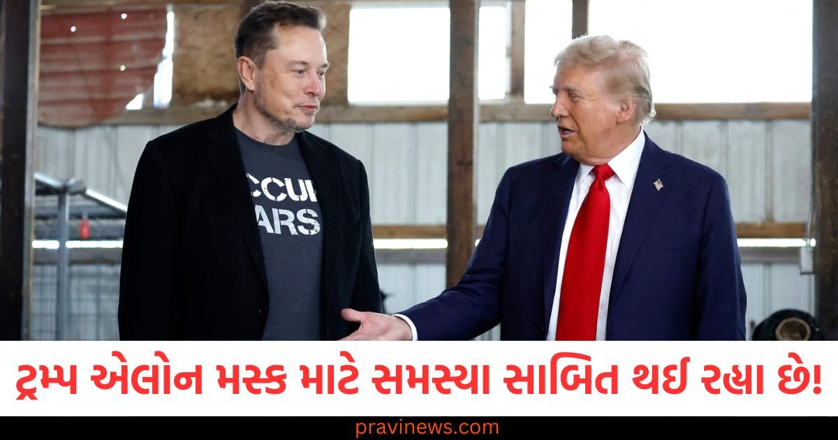 ડોનાલ્ડ ટ્રમ્પ એલોન મસ્ક માટે સમસ્યા સાબિત થઈ રહ્યા છે! માત્ર 3 મહિનામાં 95.4 અબજ ડોલરનું થયું નુકસાન https://www.pravinews.com/gujarat-news/a-fake-facebook-account-was-created-in-the-name-of-the-minister-of-state-for-education-118914