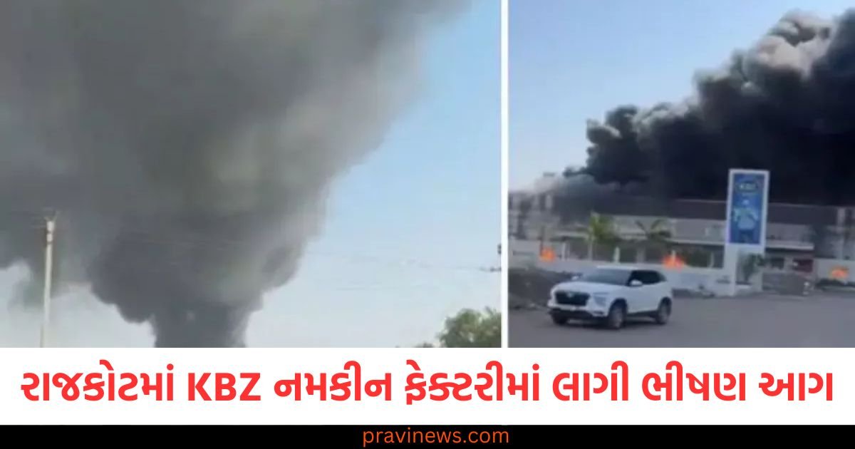 રાજકોટમાં KBZ નમકીન ફેક્ટરીમાં લાગી ભીષણ આગ, ફાયર બ્રિગેડની ગાડીઓ ઘટનાસ્થળે હાજર https://www.pravinews.com/education/board-exams/cbse-can-considers-calculators-for-class-12-accounts-exam-reducing-student-stress-117592