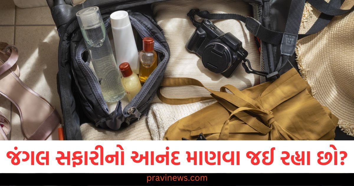 જંગલ સફારીનો આનંદ માણવા જઈ રહ્યા છો? તો આ વસ્તુઓ ચોક્કસપણે તમારી સાથે લઈ જાઓ. https://www.pravinews.com/international-news/more-than-400-hollywood-celebrities-write-open-letter-against-google-and-open-ai-to-us-government-116350