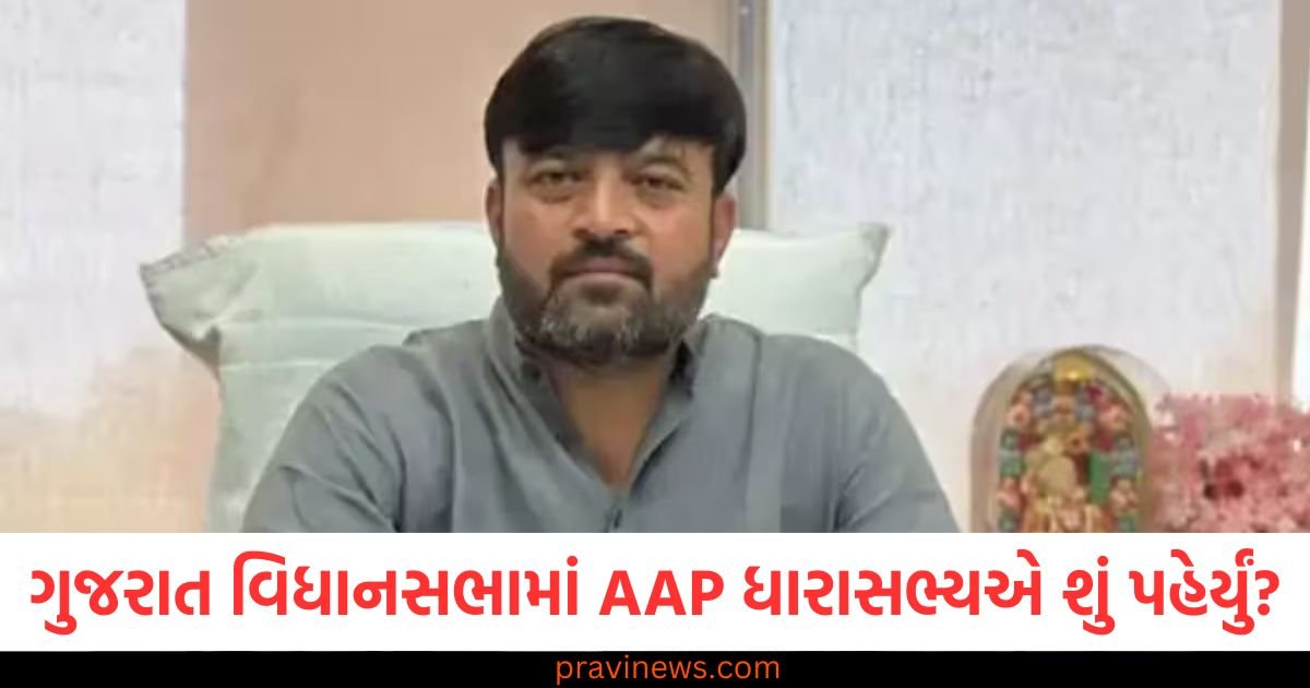 ગુજરાત વિધાનસભામાં AAP ધારાસભ્યએ એવું તે શું પહેર્યું સ્પીકરે તેને સદનમાંથી કાઢી મૂક્યો https://www.pravinews.com/gujarat-news/three-women-selling-swords-on-vadodara-mandvi-bank-road-arrested-101813