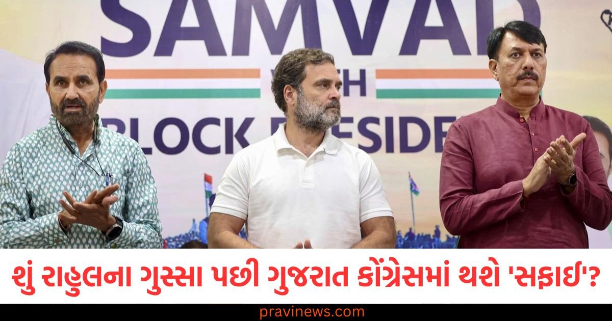 શું રાહુલના ગુસ્સા પછી ગુજરાત કોંગ્રેસમાં થશે 'સફાઈ'? વિધાનસભા ચૂંટણી માટે રાજ્યના નેતાઓ કેટલા તૈયાર છે તે જાણો https://www.pravinews.com/gujarat-news