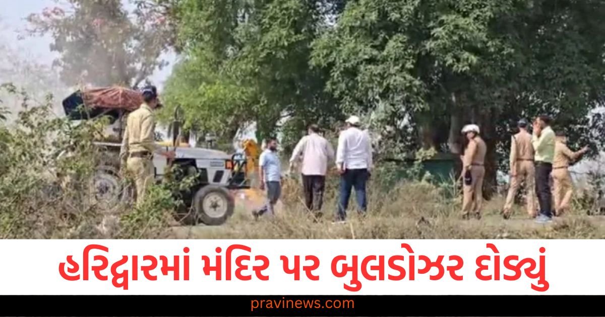 હરિદ્વારમાં ગેરકાયદેસર મંદિર પર વહીવટીતંત્રનું બુલડોઝર દોડ્યું, થોડા દિવસ પહેલા નોટિસ ફટકારવામાં આવી હતી https://www.pravinews.com/world-news-in-gujarati/meat-shop-controversy-delhi-action-against-encroachment-118428