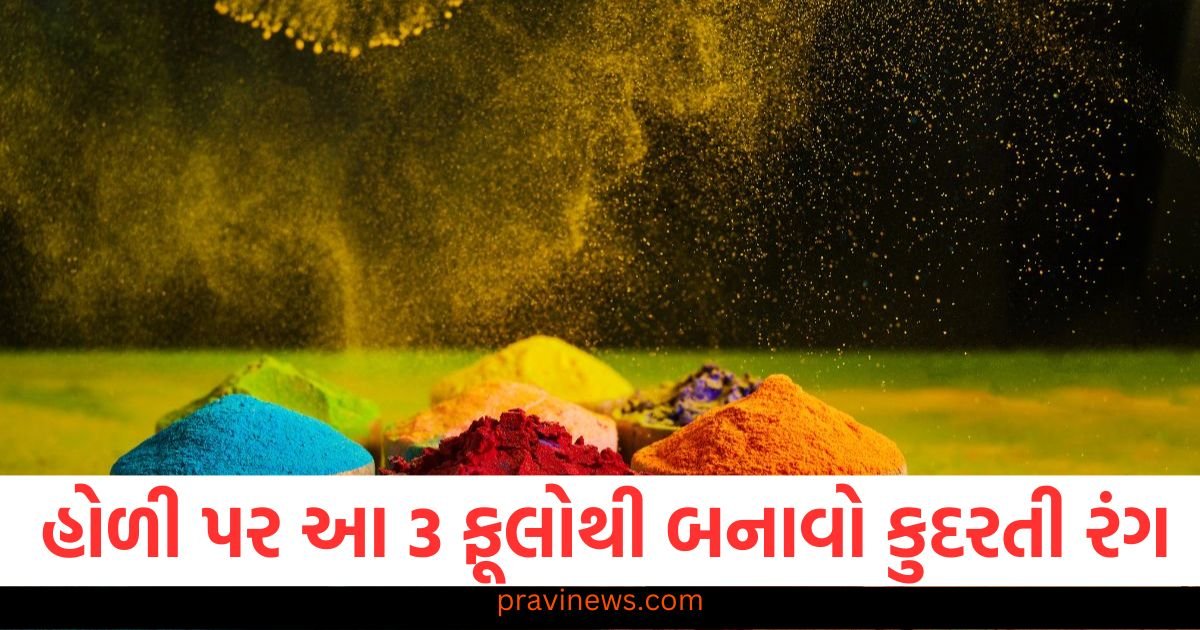 હોળી પર આ 3 ફૂલોથી બનાવો કુદરતી રંગ, જાણો કેવી રીતે બનાવશો https://www.pravinews.com/lifestyle/health-fitness/guava-leaves-benefits-chewing-guava-leaves-healthy-special-leaf-health-tips-114604