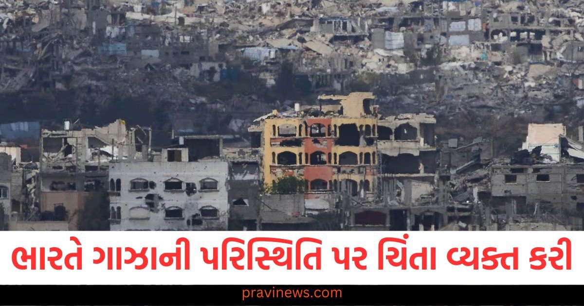 ભારતે ગાઝાની પરિસ્થિતિ પર ચિંતા વ્યક્ત કરી, ઇઝરાયલી બોમ્બમારાથી 400 થી વધુ લોકો માર્યા ગયા https://www.pravinews.com/world-news-in-gujarati/punjab-rice-stock-clearance-demand-mp-amarinder-singh-raja-warring-lok-sabha-115880