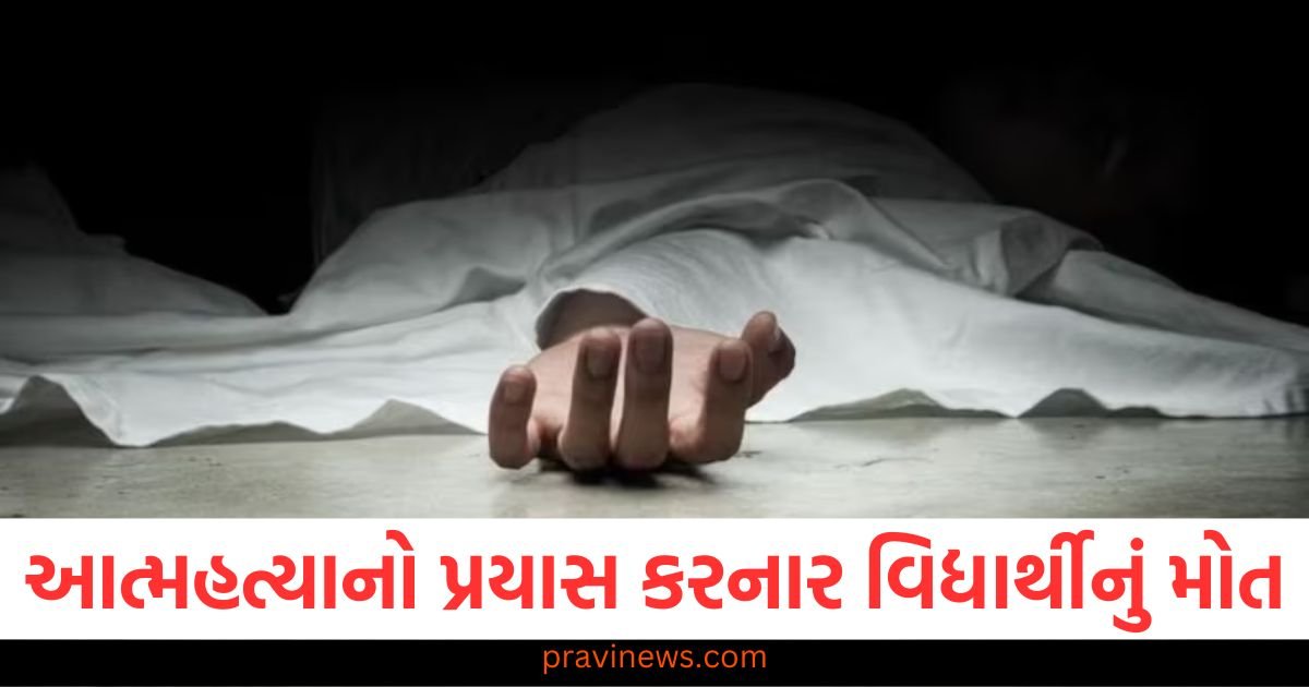 કેરળમાં આત્મહત્યાનો પ્રયાસ કરનાર વિદ્યાર્થીનું મોત, ત્રણ મહિનાથી કોમામાં હતો https://www.pravinews.com/world-news-in-gujarati/page/11