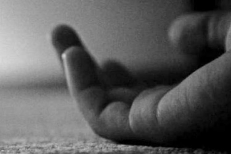 કેરળમાં આત્મહત્યાનો પ્રયાસ કરનાર વિદ્યાર્થીનું મોત, ત્રણ મહિનાથી કોમામાં હતો https://www.pravinews.com/world-news-in-gujarati/kasargod-third-year-nursing-student-who-attempted-suicide-in-her-college-hostel-died-after-being-in-a-coma-117025