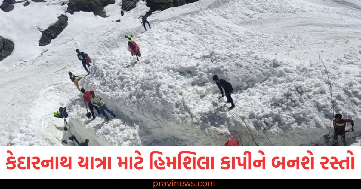 કેદારનાથ યાત્રાને સરળ બનાવવા માટે હિમશિલા કાપીને બનાવવામાં આવી રહ્યો છે રસ્તો, 11 દિવસમાં 2.5 કિમીનો રસ્તો તૈયાર https://www.pravinews.com/gujarat-news/rajkot-news/rajkot-apmc-market-price-today-live-updates-25-03-2025-117779