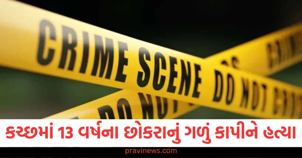 ઓનલાઈન ગેમિંગ રમવું જીવલેણ બન્યું, કચ્છમાં 13 વર્ષના છોકરાનું ગળું કાપીને હત્યા https://www.pravinews.com/world-news-in-gujarati/delhi-crime-british-woman-assault-accused-police-arrested-114569