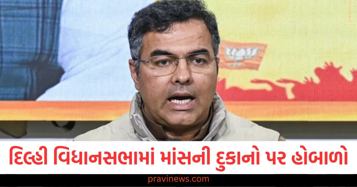 દિલ્હી વિધાનસભામાં માંસની દુકાનો પર હોબાળો, મંત્રી પ્રવેશ વર્માએ અધિકારીઓને આ કહ્યું https://www.pravinews.com/world-news-in-gujarati/rahul-gandhi-lok-sabha-speaker-om-birla-allegations-not-allowed-to-speak-congress-bjp-narendra-modi-118388