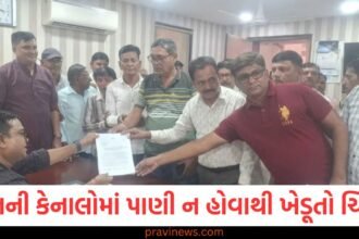 સુરતની કેનાલોમાં પાણી ન હોવાથી ખેડૂતો ચિંતિત, સિંચાઈ વિભાગને આપ્યું આવેદનપત્ર https://www.pravinews.com/gujarat-news/surat-news/crowd-of-passengers-at-udhna-station-for-surat-holi-dhaleti-113609