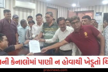 સુરતની કેનાલોમાં પાણી ન હોવાથી ખેડૂતો ચિંતિત, સિંચાઈ વિભાગને આપ્યું આવેદનપત્ર https://www.pravinews.com/gujarat-news/surat-news