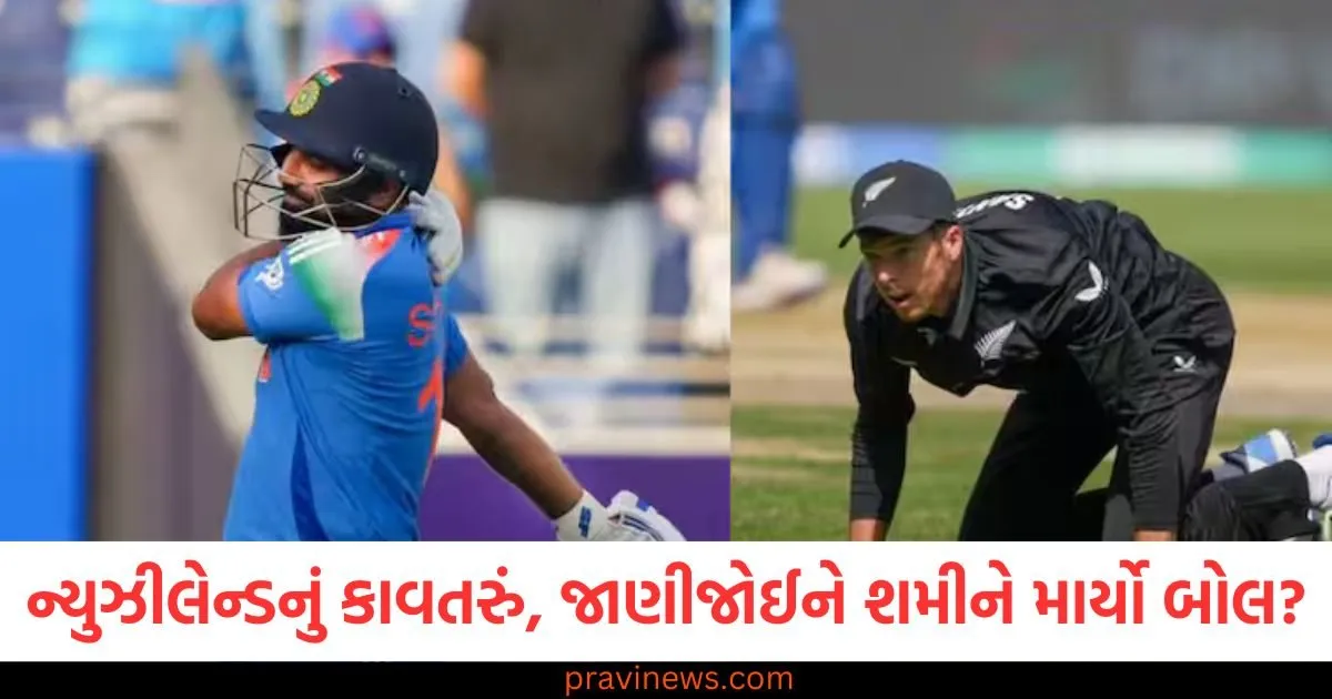 ન્યુઝીલેન્ડનું કાવતરું, જાણીજોઈને મોહમ્મદ શમીને માર્યો બોલ? ભારતીય બોલર દર્દથી ધ્રૂજી ઉઠ્યો https://www.pravinews.com/world-news-in-gujarati/sbi-launches-green-rupay-term-deposit-sgrtd-interest-rates-111073