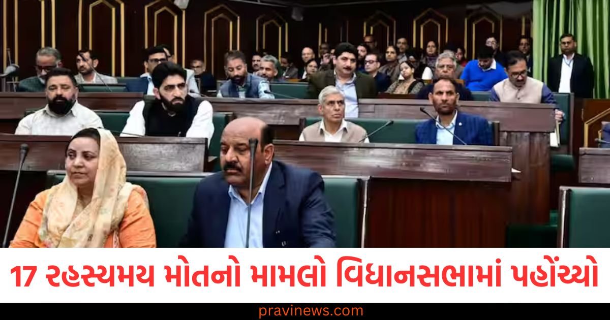 જમ્મુના રાજૌરીમાં 17 રહસ્યમય મોતનો મામલો વિધાનસભામાં પહોંચ્યો, ધારાસભ્યએ આતંકવાદી ષડયંત્રની આશંકા વ્યક્ત કરી https://www.pravinews.com/ajab-gajab/what-is-the-cost-of-train-wheel-price-in-india-check-train-116201