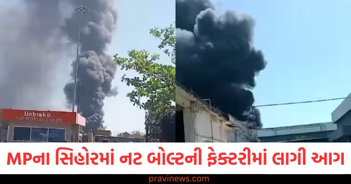 મધ્યપ્રદેશના સિહોરમાં નટ બોલ્ટની ફેક્ટરીમાં લાગી આગ, કેટલાય કિલોમીટર દૂરથી દેખાયો ધુમાડો https://www.pravinews.com/world-news-in-gujarati/what-is-sangam-nose-where-the-largest-crowd-is-gathering-in-mahakumbh-regarding-which-cm-yogi-appealed-97012