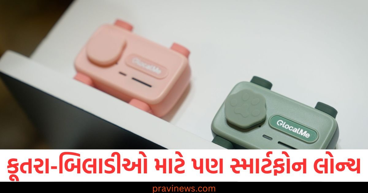 કૂતરા અને બિલાડીઓ માટે પણ સ્માર્ટફોન લોન્ચ, GPS અને WiFi પણ ઉપલબ્ધ થશે https://www.pravinews.com/technology/%e0%aa%b8%e0%ab%8d%e0%aa%ae%e0%aa%be%e0%aa%b0%e0%ab%8d%e0%aa%9f%e0%aa%ab%e0%ab%8b%e0%aa%a8%e0%aa%a8%e0%ab%87-%e0%aa%9a%e0%aa%be%e0%aa%b0%e0%ab%8d%e0%aa%9c-%e0%aa%95%e0%aa%b0%e0%aa%b5%e0%aa%be%e0%aa%a5-50492