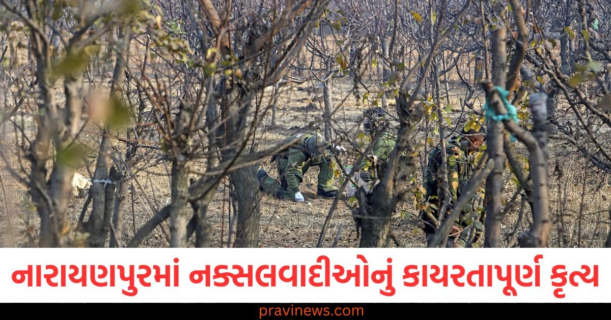 નારાયણપુરમાં નક્સલવાદીઓનું કાયરતાપૂર્ણ કૃત્ય, IED બ્લાસ્ટમાં ખાણ કર્મચારીનું મોત, અન્ય એક ઘાયલ https://www.pravinews.com/world-news-in-gujarati/5-major-reasons-for-prayagraj-mahakumbh-stampede-on-mauni-amavasya-97716