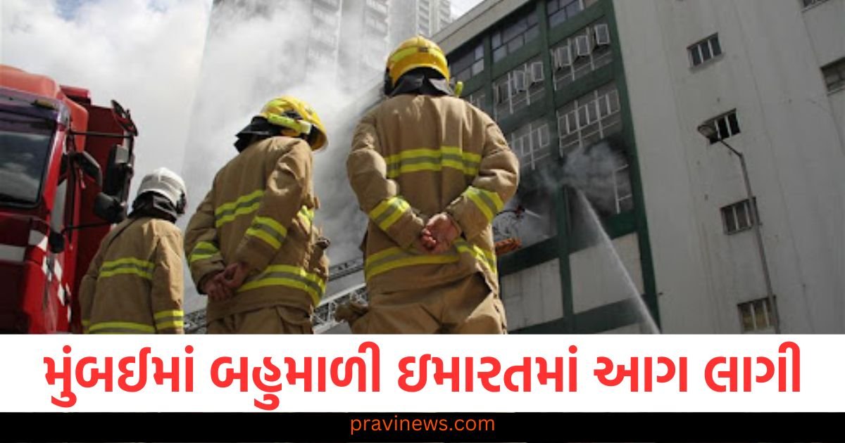 મુંબઈમાં બહુમાળી ઇમારતમાં આગ લાગી, સુરક્ષા ગાર્ડનું મૃત્યુ https://www.pravinews.com/gujarat-news/ahmedabad-news/peon-accused-of-stealing-60-tola-gold-jewellery-rs-10-lakh-from-bank-locker-arrested-117112