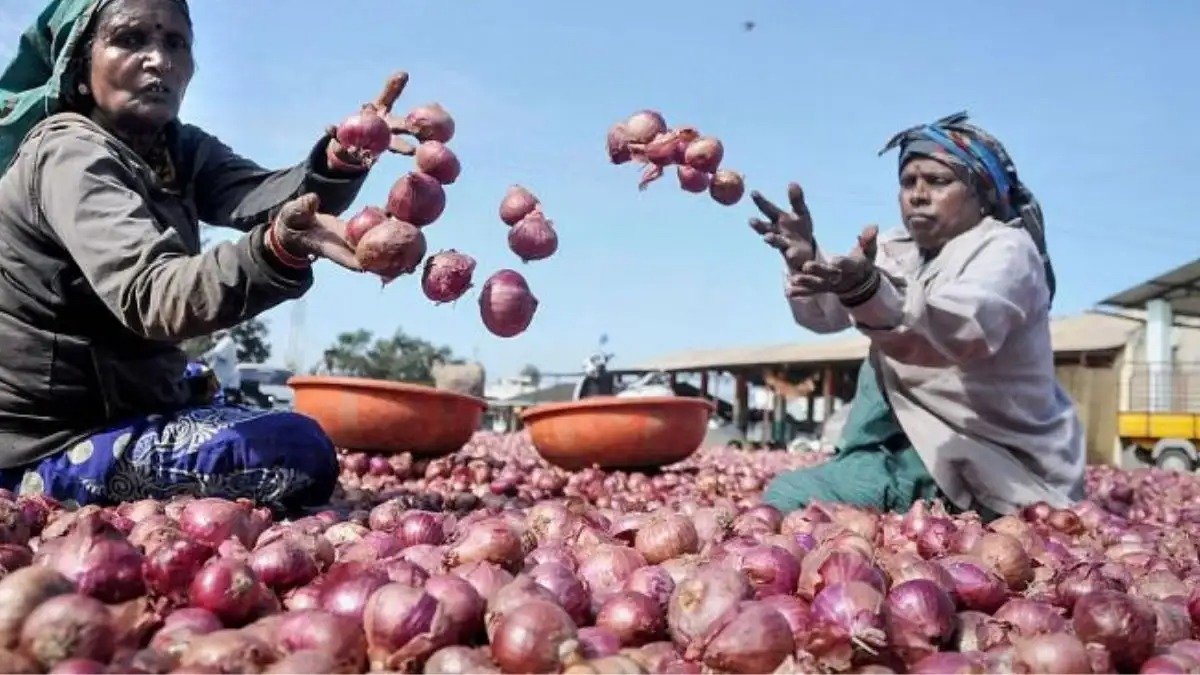 સારા સમાચાર! ડુંગળી પર મોદી સરકારે લીધો મોટો નિર્ણય, 20 ટકા ટેક્સ હટાવ્યો https://www.pravinews.com/business/onion-export-duty-modi-government-took-a-big-decision-on-onion-20-percent-tax-removed-decision-implemented-from-april-1-117046