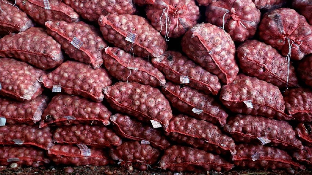 સારા સમાચાર! ડુંગળી પર મોદી સરકારે લીધો મોટો નિર્ણય, 20 ટકા ટેક્સ હટાવ્યો https://www.pravinews.com/business/onion-export-duty-modi-government-took-a-big-decision-on-onion-20-percent-tax-removed-decision-implemented-from-april-1-117046