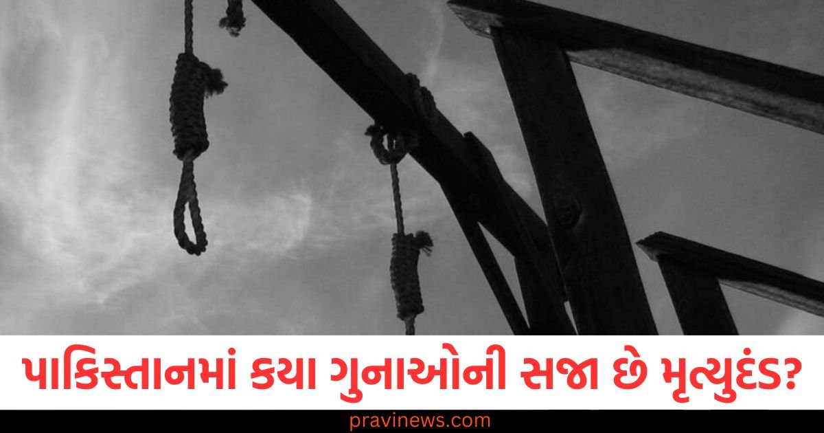 પાકિસ્તાનમાં કયા ગુનાઓની સજા છે મૃત્યુદંડ? આ એક કેસમાં કાયદો ખૂબ જ કડક છે. https://www.pravinews.com/ajab-gajab/bomb-found-at-airport-know-where-it-is-the-put-first-know-the-answer-81875