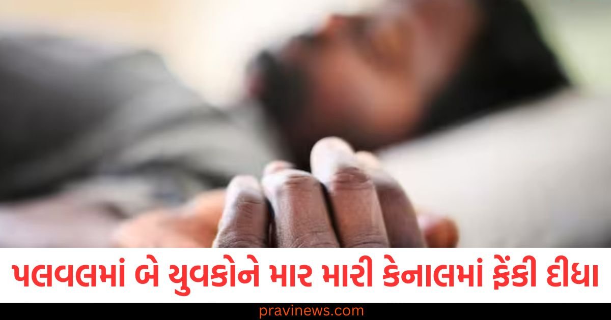 ગાયની તસ્કરીની આશંકા, બે યુવકોને માર મારી કેનાલમાં ફેંકી દીધા, એકનું મોત https://www.pravinews.com/world-news-in-gujarati/delhi-serial-thief-arrested-gold-jewelery-and-other-items-recoverd-111795