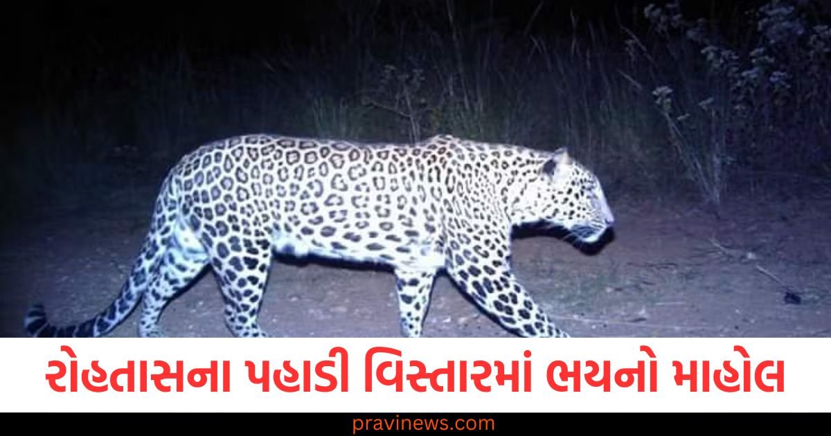 રોહતાસના પહાડી વિસ્તારમાં ભયનો માહોલ, બે માનવભક્ષી દીપડાએ લોકોની ઊંઘ પહોંચાડી ખલેલ, બાળકોએ શાળાએ જવાનું બંધ કરી દીધું https://www.pravinews.com/world-news-in-gujarati/what-is-sangam-nose-where-the-largest-crowd-is-gathering-in-mahakumbh-regarding-which-cm-yogi-appealed-97012