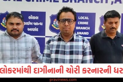 આણંદની બેંકના લોકરમાંથી 60 તોલા સોનાના દાગીના અને 10 લાખ રૂપિયાની ચોરીના આરોપમાં પટાવાળાની ધરપકડ https://www.pravinews.com/gujarat-news/ahmedabad-news