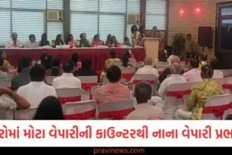 સુરતમાં બહારના કાપડ બજારોમાં મોટા વેપારીઓની કાઉન્ટર સિસ્ટમથી નાના વેપારીઓ પ્રભાવિત https://www.pravinews.com/gujarat-news/surat-news/crowd-of-passengers-at-udhna-station-for-surat-holi-dhaleti-113609