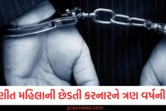 વડોદરામાં સિલાઈ મશીન રિપેર કરવાના બહાને પરિણીત મહિલાની છેડતી કરનારને ત્રણ વર્ષની જેલ https://www.pravinews.com/gujarat-news/vadodara-news/heavy-rainfall-caused-huge-waterlogging-in-city-and-imd-weather-forecast-and-red-alert-41792