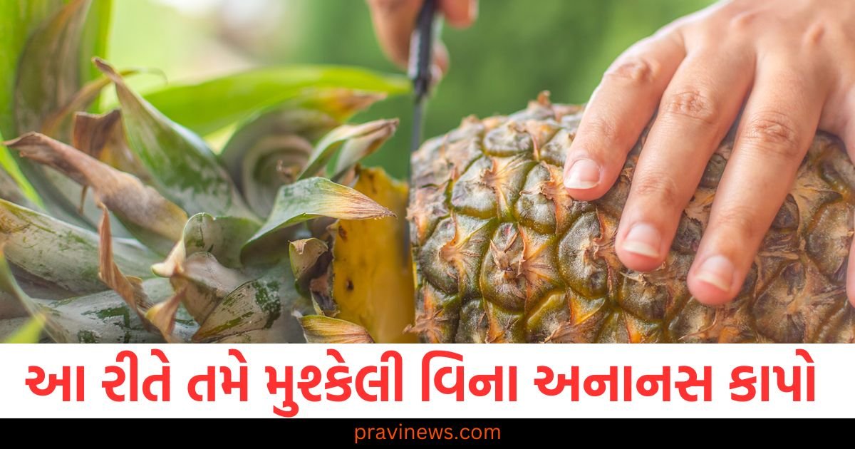 શું તમને અનાનસ કાપવાનું મુશ્કેલ કામ લાગે છે? આ રીતે તમે કોઈપણ મુશ્કેલી વિના અનાનસ કાપો https://www.pravinews.com/ajab-gajab/know-what-is-golden-passport-and-how-can-a-person-buy-this-113660