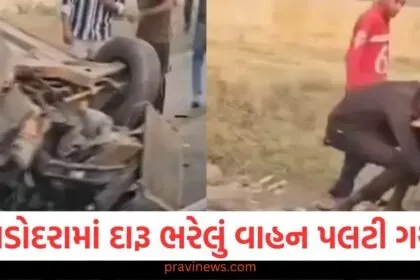 વડોદરામાં દારૂ ભરેલું વાહન પલટી ગયું, મદદ કરવાને બદલે લોકોએ દારૂ ચોરી કરવાનું શરૂ કર્યું https://www.pravinews.com/gujarat-news/vadodara-news