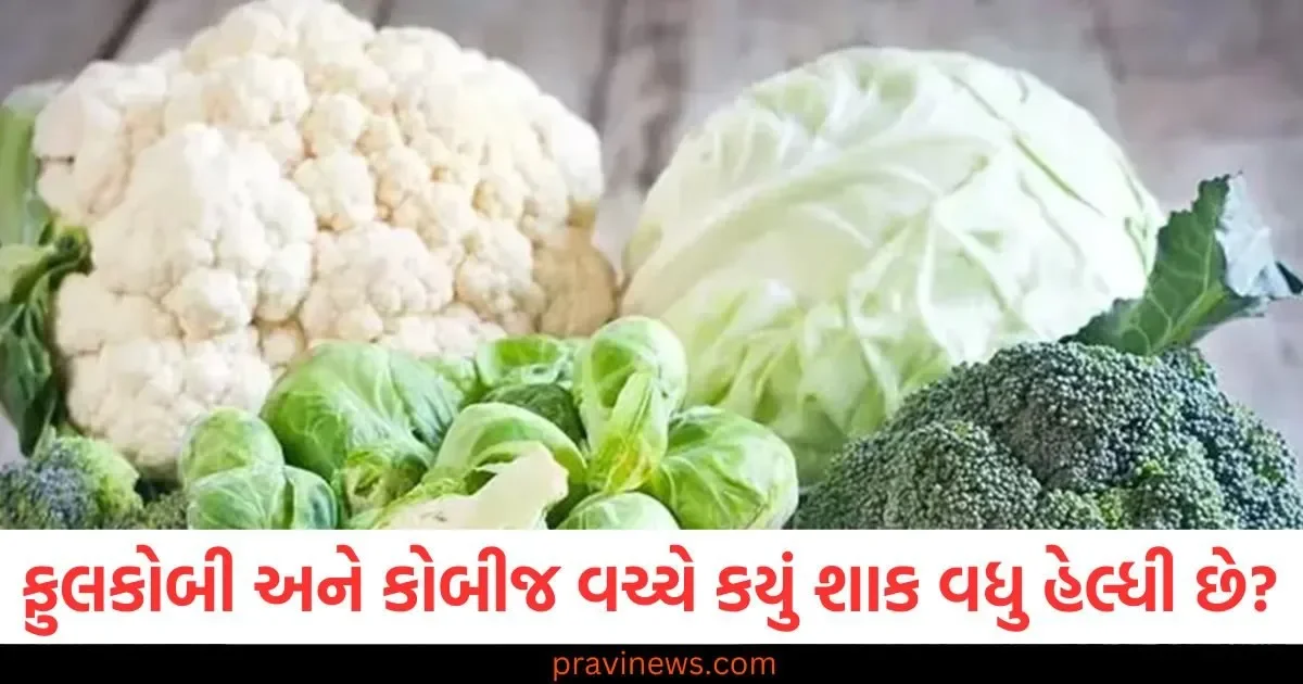 ફૂલકોબી અને કોબીજ વચ્ચે કયું શાક વધુ સ્વાસ્થ્યપ્રદ છે? અહીં જાણો તમારે શું ખાવું જોઈએ ? https://www.pravinews.com/world-news-in-gujarati/rajasthan-cabinet-approved-bill-to-bring-coaching-institutions-under-legal-framework-113451
