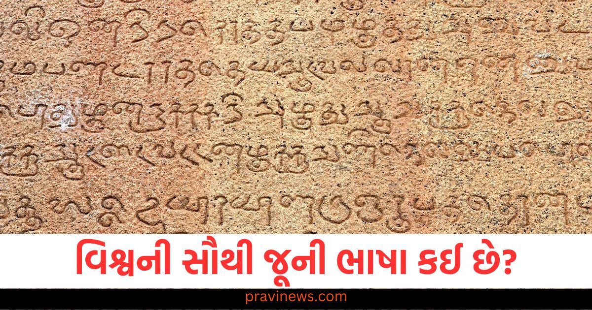 સંસ્કૃત કે તમિલ - વિશ્વની સૌથી જૂની ભાષા કઈ છે? શું તમે કન્ફ્યુઝ છો? https://www.pravinews.com/religion/astrology/kal-ka-rashifal-horoscope-tomorrow-21-march-aries-to-pisces-bhavishyafal-116270