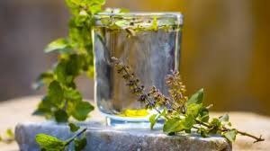 ખાલી પેટે તુલસીના પાનનું પાણી કેમ પીવું જોઈએ? આજથી તેનું સેવન શરૂ કરી દો. https://www.pravinews.com/food/%e0%aa%96%e0%aa%be%e0%aa%b2%e0%ab%80-%e0%aa%aa%e0%ab%87%e0%aa%9f%e0%ab%87-%e0%aa%a4%e0%ab%81%e0%aa%b2%e0%aa%b8%e0%ab%80%e0%aa%a8%e0%aa%be-%e0%aa%aa%e0%aa%be%e0%aa%a8%e0%aa%a8%e0%ab%81%e0%aa%82-119334