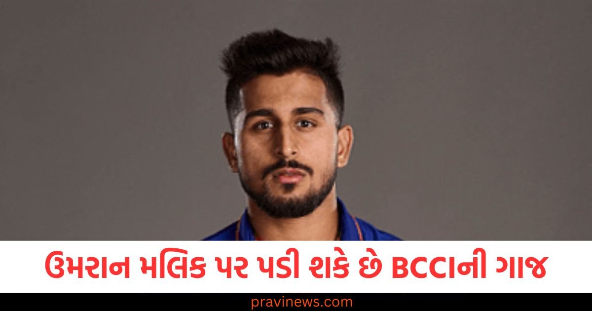 ઉમરાન મલિક પર પડી શકે છે BCCIની ગાજ , શું તે સેન્ટ્રલ કોન્ટ્રાક્ટ લિસ્ટમાંથી બહાર થઈ જશે? https://www.pravinews.com/world-news-in-gujarati/indian-politician-assets-in-crore-how-rich-is-mla-in-india-wealth-gap-from-mere-thousands-to-mega-crores-indian-politician-assets-in-crore-115909