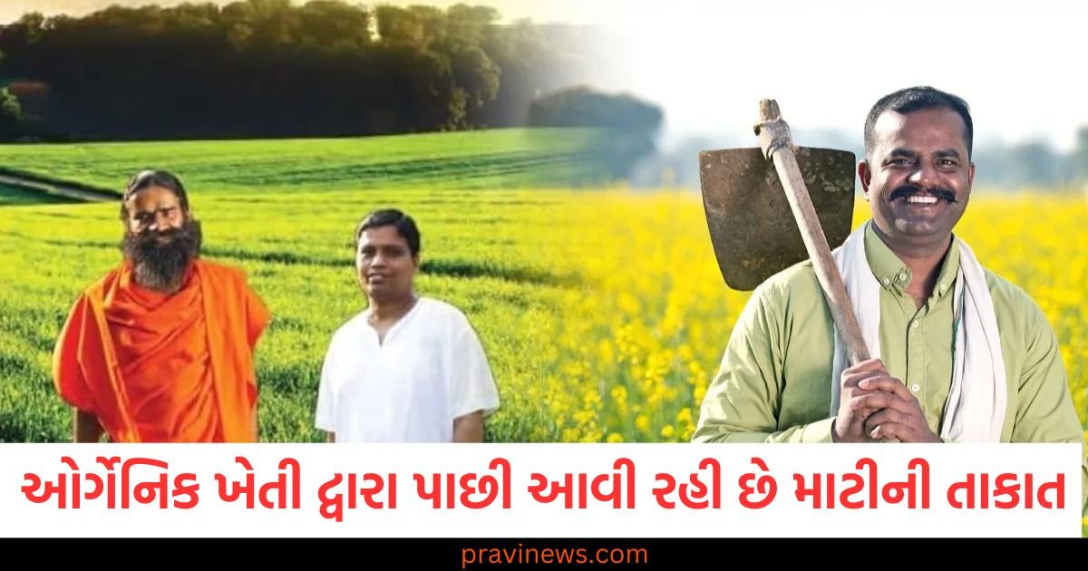 ઓર્ગેનિક ખેતી દ્વારા પાછી આવી રહી છે માટીની તાકાત , પતંજલિનું મોટું પગલું https://www.pravinews.com/world-news-in-gujarati/mp-mohan-yadav-government-gave-505-crore-rupees-to-labour-in-mukhyamantri-jan-kalyan-yojana-119022