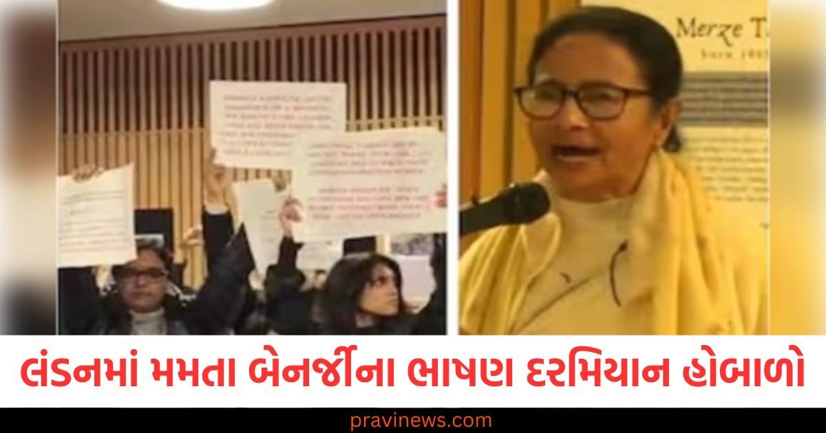 લંડનમાં મમતા બેનર્જીના ભાષણ દરમિયાન હોબાળો, જાણો 'દીદી'એ પોતાના ભાષણમાં શું કહ્યું https://www.pravinews.com/gujarat-news/rajkot-news/rajkot-apmc-market-price-today-live-updates-28-03-2025-118750